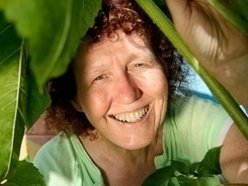 Image for Pamela Sunshine
