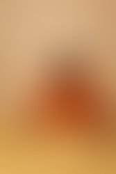 3ce8393d 51fb 4408 a6c0 e2294ba6326e