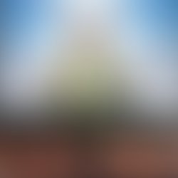 1391333728 10152187206840638 1519259264 n
