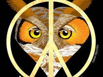 BIONIC OWL