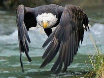 Small Carbon Footprint