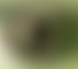 1322610866 119992494721761 100001330321183 115873 1497008 n