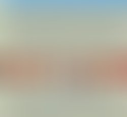 Received 1208153245938439