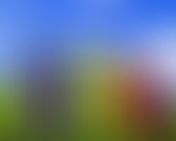 1319985435 ff teletubbies