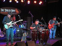 Tony Trahan and the BlueKrewe