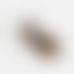 1415954350 facebookprofile