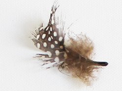 Timothy James Wright