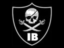 Image for Internal Bleeding