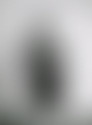 1311345774 429288482528 44537182528 4862559 2282183 n