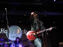 A Box Of Angry Roosters