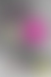 Dsc 0136 20170221011945598