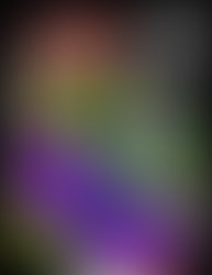 1324030283 235581866514744 100001887986311 576406 1597409846 n