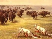 tHe nAtuRaL fReE hUmaN bEinGs