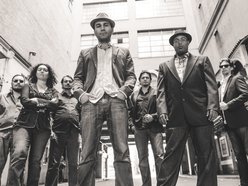 Image for Noble Creatures