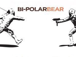 Image for Bi_PolarBear