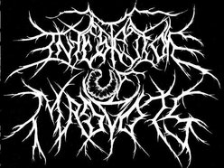 Image for Infestation Of Maggots