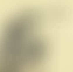 1332044757 sea diver