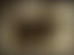 1321085417 274477645921391 168860736483083 713168 1643549465 n