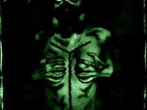 toxic decay