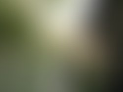 26d7750e91e05fef7d0de7c94c79474ebc347f0d