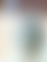 1340671250 072010165738