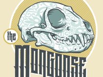 The Mongoose