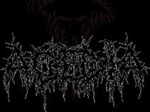 ACEDIA