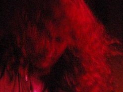 Image for Scott Docherty
