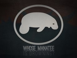 Image for Whose Manatee Is Drowning