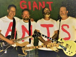 Image for Giant Ants