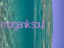 Image for Morganik Soul