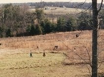 Free Blood Pressure Tests