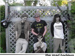 Image for The Mad Badgers