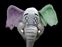 Elephant X