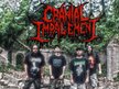 CRANIAL IMPALEMENT