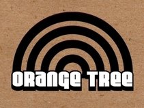 Orange Tree