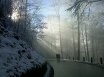 The Lie of Consciousness