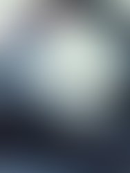 1331683547 1670543485008 1279993901 1821392 2641656 n
