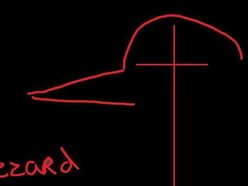 Image for buzzard