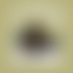 Roc 20opulence