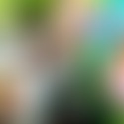 1407899668 3c12de36c1533cc2f04eafd4971f0c41da256479