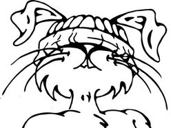 Image for Thumper