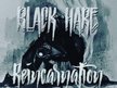 Black Hare
