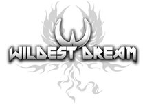 Wildest Dream