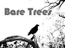 Bare Trees