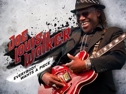 Image for Joe Louis Walker