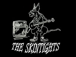 Image for The Skintights