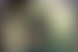 1305750312 jmm 393 by scott reed