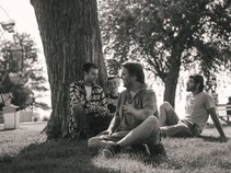 The Bees Trees