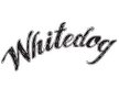 whitedog